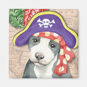 De Piraat van Bull terrier van de kuil Magneet