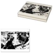 De piraatkatten 	rubberstempel (Gestempeld)