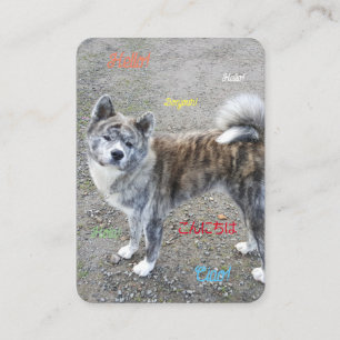 De Placement Une carte postale qui fait plaisir 