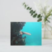 De Plank van het koraal Briefkaart (Staand voorkant)