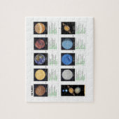 De planten legpuzzel (Verticaal)