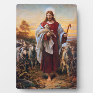 De Plaque de Goede Shepherd Fotoplaat