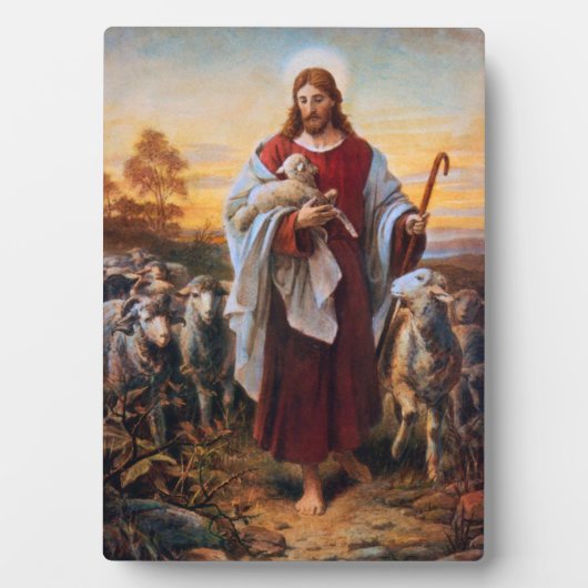 De Plaque de Goede Shepherd Fotoplaat (voorkant)