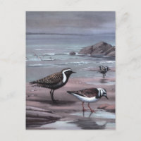 De Plevieren & Turnstones van Weber