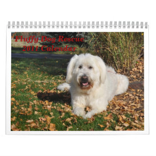 De pluizige Redding van de Hond Kalender