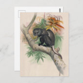 De Pluto Monkey van Joseph Wolf Briefkaart (Voorkant / Achterkant)