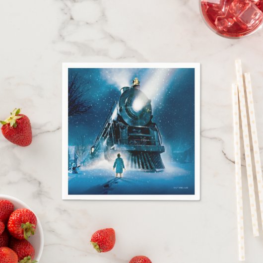 De Polar Express pyjama Servet (Insitu)