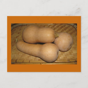 De Pompoen van Butternut Briefkaart