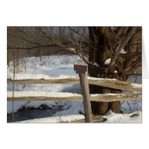 De Pond in de winter