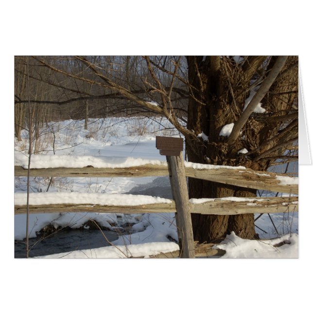 De Pond in de winter (Voorkant Horizontaal)