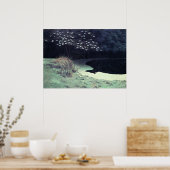 DE POND POSTER (Keuken)