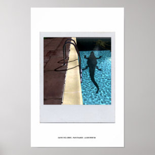 DE POOLSERIE VAN DAVID p08b Poster