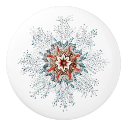 De Porte En Céramique Bouton bleu mer créature (Devant)