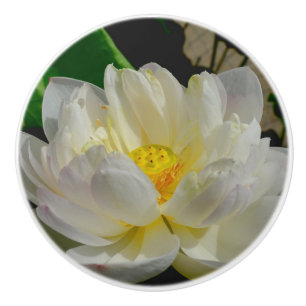 De Porte En Céramique Bouton Lily d'eau