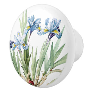 De Porte En Céramique L'iris bleu botanique vintage fleurit le bouton