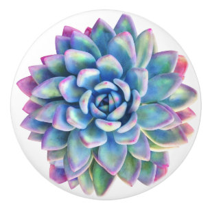 De Porte En Céramique succulent bouton décoratif