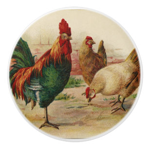 De Porte En Céramique Vintage coqs maison cuisine déco bouton
