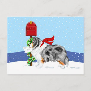 De Post Blauwe Merle van Kerstmis van Sheltie Feestdagenkaart