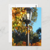 De Post van de lamp in Herfst Briefkaart (Voorkant / Achterkant)