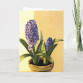 De Pot van de hyacint Kaart (Achterkant)