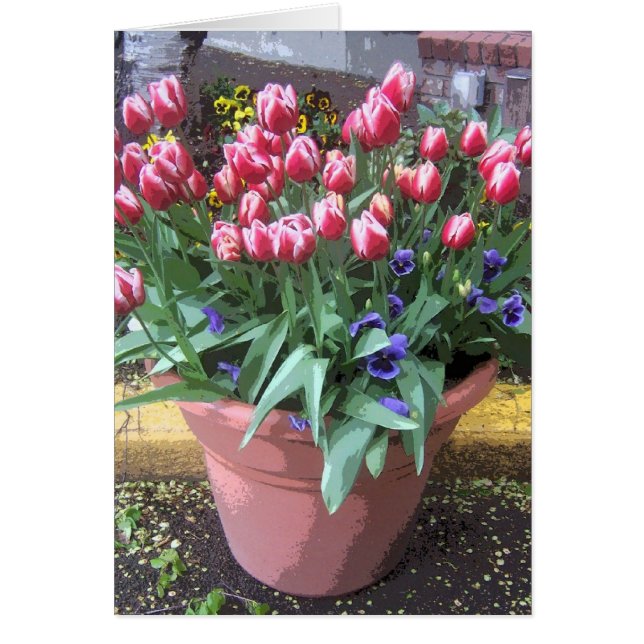 De Pot van de Klei van de Tulp van de lente (Voorkant)