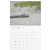 De prachtige agenda van natuur kalender (Mar 2026)