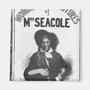 De prachtige avonturen van mevrouw Seacole' Magneet