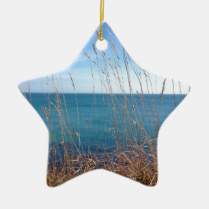 De prachtige gras en Zee Keramisch Ornament