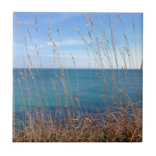 De prachtige gras en Zee Tegeltje