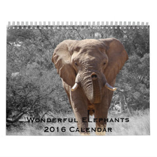 De prachtige Kalender van Olifanten 2016