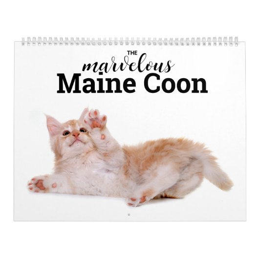 De prachtige Maine Coon Calender Kalender (Hoes)