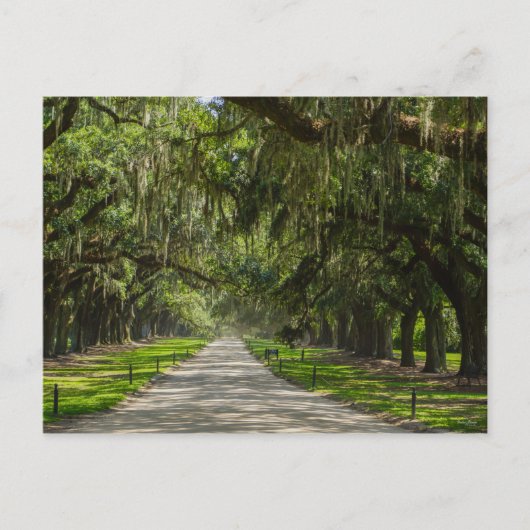 De prachtige plek van de eiken briefkaart (Voorkant)