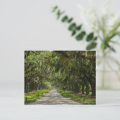 De prachtige plek van de eiken briefkaart (Staand voorkant)