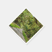 De prachtige plek van de eiken servet (Hoek)