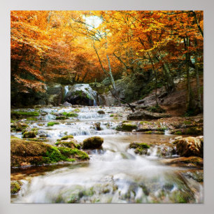 De prachtige waterval in het bos, herfst poster