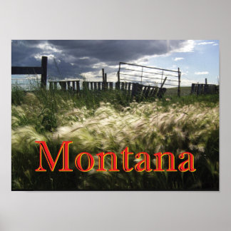 De Prairie Grasses van Montana Custom Print