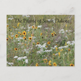 De prairie van het South Dakota Briefkaart