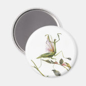 DE PRAYSEMMANTIS MAGNEET (Voorkant / Achterkant)