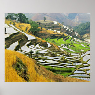 de prefectuur Azië, China, Yunnan, Yuxi; Yuanjian Poster