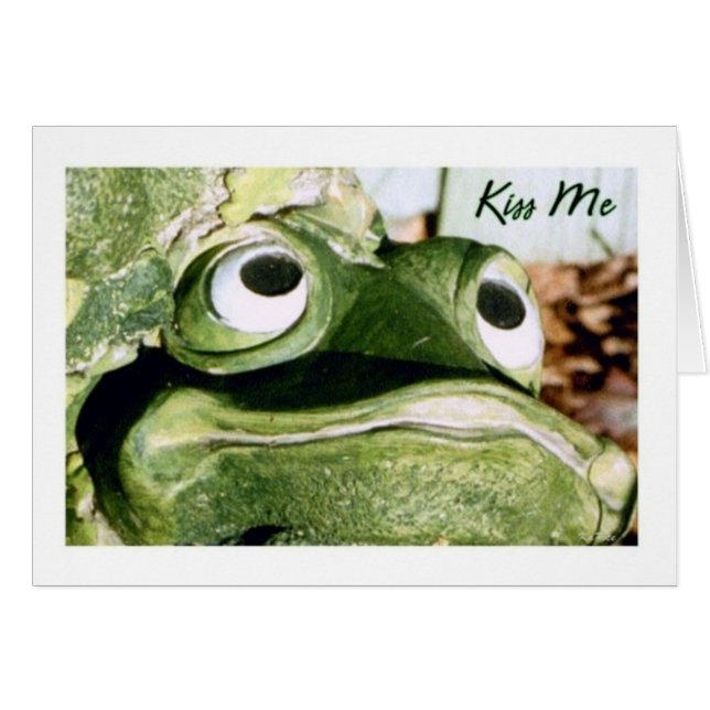 De prins (Voorkant Horizontaal)