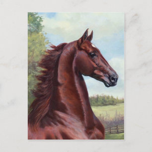 De Prins (WC-Merchant Prince, JNS Fine Art Briefkaart