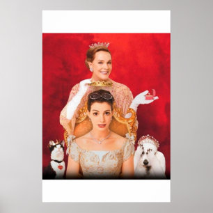 De Prinses dagboeken Poster