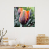 De prinses Irene Tulip Poster (Keuken)
