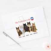 De Proposition Lady Sticker - met Katten! (Envelop)