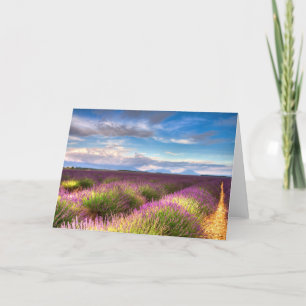 De Provence - de gebiedenwenskaart van de Lavendel Kaart