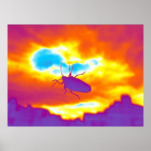 De Psychedelic Bug Poster (Voorkant)