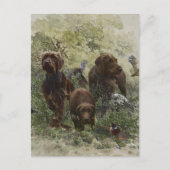 De Pudelpointer Briefkaart (Voorkant)