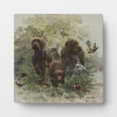 De Pudelpointer Fotoplaat (Voorkant)