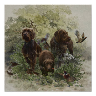 De Pudelpointer Perfect Poster