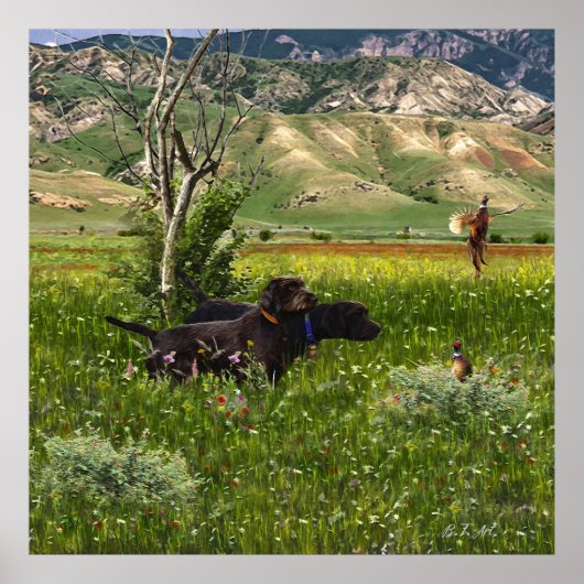 De Pudelpointer Poster (Voorkant)